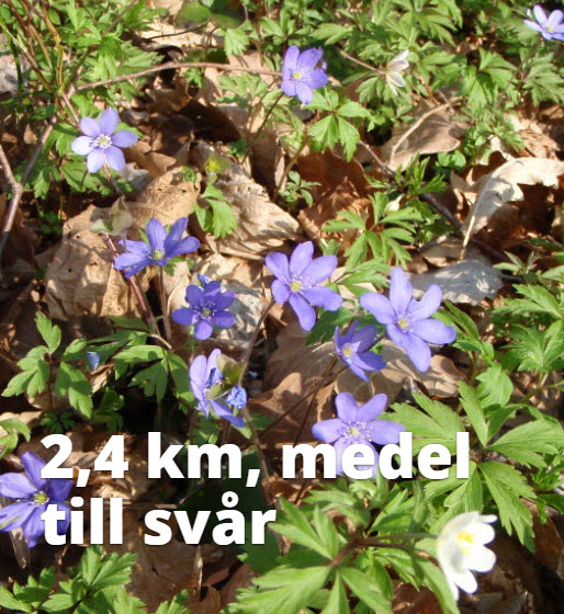 11.Vägeröds dalar