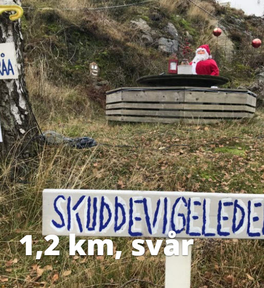 9.Skuddevigeleden